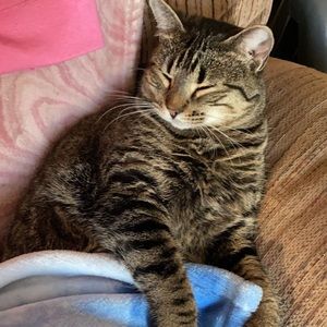 Meet your Posher, Harley